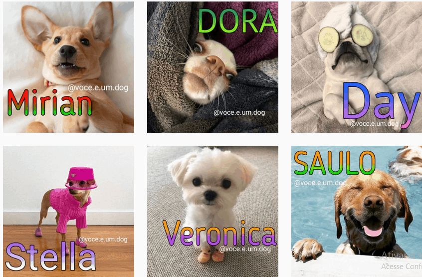 Memes de pets com nome de pessoas viralizam no Instagram