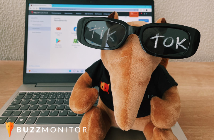 Em breve: TikTok na Buzzmonitor