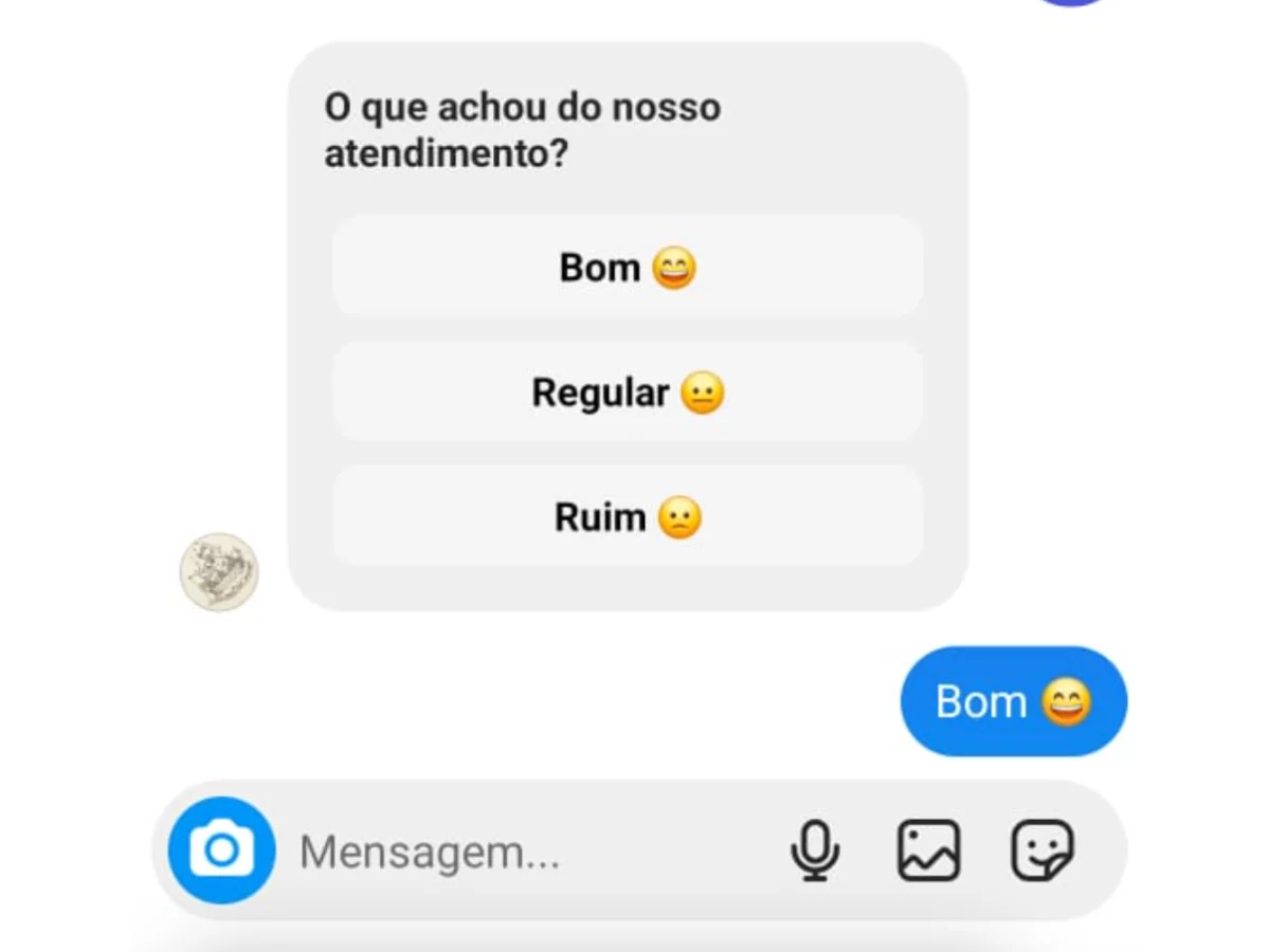 como o usuario vê a pesquisa de satisfação no Instagram